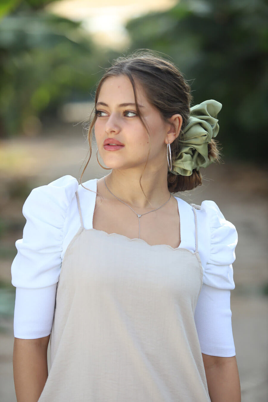 ⁦פופי זית מוזהב⁩ – תמונה ⁦4⁩